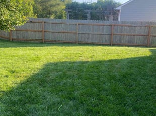 Steven A.'s Lawn Mowing service result