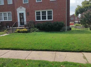 LaToya T.'s Yard Cutting service result