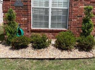Cleanups by Shanta Mitchell for Kerri S. in Collierville, TN