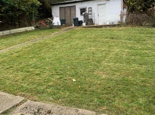 Courtney J.'s Grass Cutting service result
