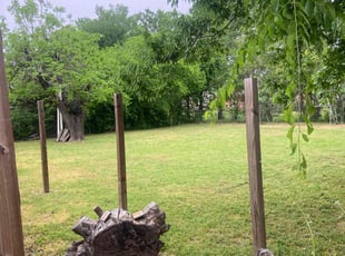 Judy R.'s Lawn Care service result