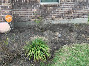 Cleanups by Carjaseph Bell for Lydia B. in Rosharon, TX