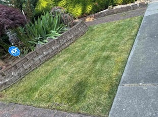 Sally G.'s Yard Cutting service result