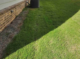 Violet T.'s Lawn Maintenance service result