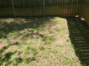 Leaf Removal by Anthony Massey for Grace C. in Greensboro, NC