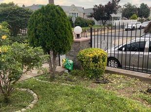 Bush Trimming by Cristian Giron for Ana P. in Philadelphia, PA