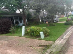 David H.'s Lawn Service service result