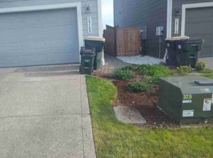 Weeding by Nancy Shaw for Louis R. in Yelm, WA