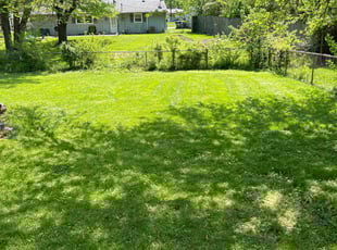 Brianne J.'s Lawn Care service result