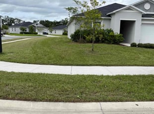 Carrie P.'s Lawn Maintenance service result