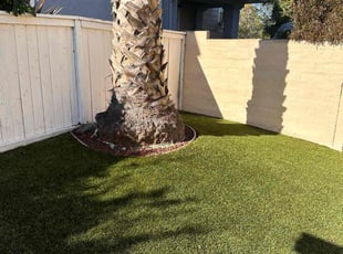 Leaf Removal by Nicholas Poulsen for Brandon S. in San Diego, CA