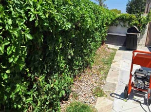 Lee M.'s Bush Trimming service result