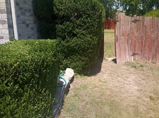 Bush Trimming by Devonn Ford for James B. in Benbrook, TX