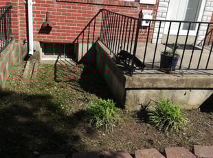 Weeding by Terrence Deleaver for brian L. in Middle River, MD