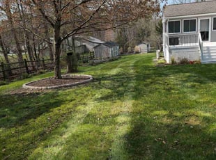 Shawna R.'s Lawn Mowing service result