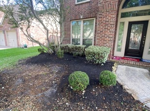 Weeding by Agapito Rivera for Jacklin S. in Pearland, TX