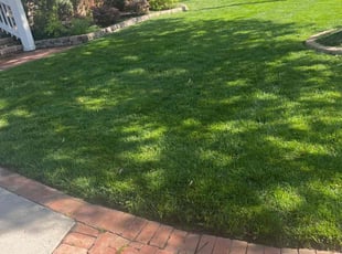 Godwin O.'s Yard Cutting service result