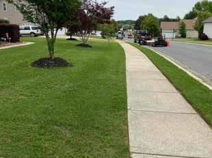 Stephen K.'s Yard Cutting service result