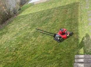 David S.'s Grass Cutting service result
