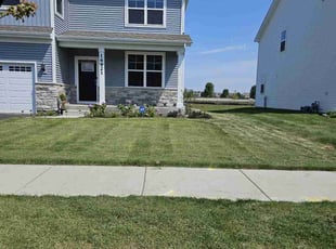 Anthony P.'s Yard Cutting service result