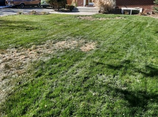 Leaf Removal by Mario Gonzales for Melanie L. in Wheat Ridge, CO