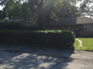 Bush Trimming by Darius Howard for Tabitha C. in Richton Park, IL