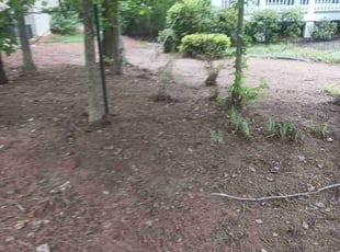 Leaf Removal by Christopher Mora for Allison F. in Douglasville, GA