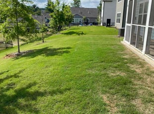 Frank H.'s Lawn Care service result
