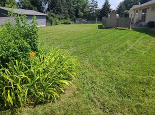 Jerry C.'s Lawn Maintenance service result