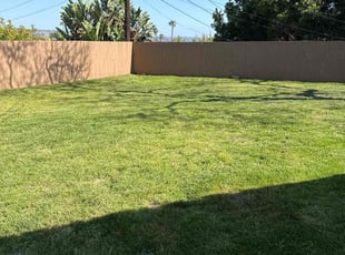 Sharon C.'s Lawn Maintenance service result