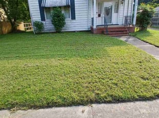 Denzel O.'s Lawn Mowing service result