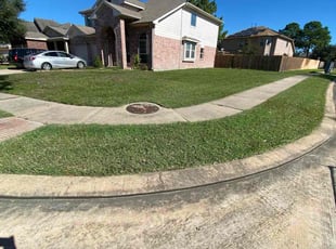 Eleece W.'s Grass Cutting service result