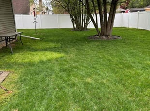 Michael G.'s Lawn Care service result