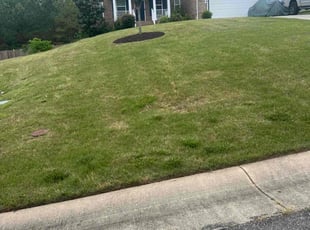 Mulching by Tom Freeman for Charles I. in Toano, VA