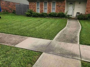 Randall M.'s Grass Cutting service result