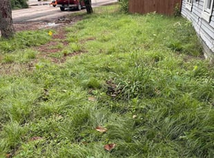 Jim W.'s Cleanups service result