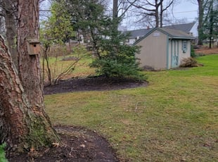Cleanups by Kevin Estrada for Rachel S. in Richmond Heights, OH