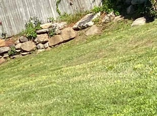 Robson S.'s Grass Cutting service result