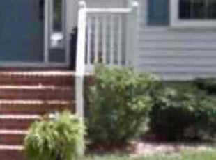Bush Trimming by DeShawn Piggee for Marsha H. in Yorktown, VA