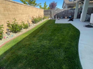 Deborah S.'s Lawn Service service result