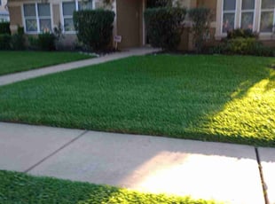 Roberta W.'s Lawn Mowing service result