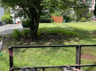 Pablo G.'s Lawn Mowing service result