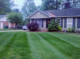 Edward A.'s Lawn Maintenance service result