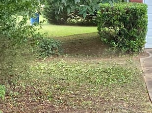 Bush Trimming by Andre Jefferson for Richard S. in Conyers, GA