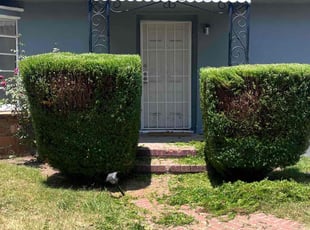 Bush Trimming by Samuel Benavides for Joanna G. in Riverside, CA