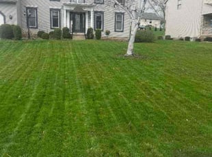 Eric B.'s Lawn Mowing service result