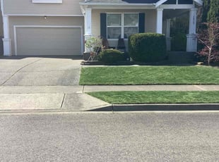Alyssa M.'s Lawn Service service result