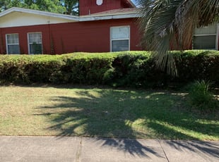 Bush Trimming by Colter Gillmore for Darryl M. in Tallahassee, FL