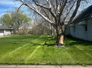 jessica m.'s Lawn Maintenance service result