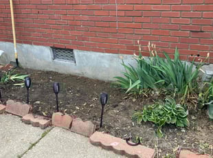 Weeding by Mackenzie Allen for Teresa N. in Louisville, KY